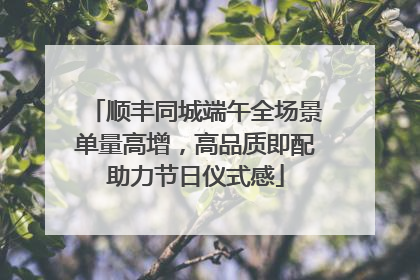 顺丰同城端午全场景单量高增，高品质即配助力节日仪式感