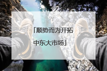 顺势而为开拓中东大市场