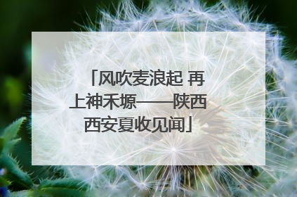 风吹麦浪起 再上神禾塬——陕西西安夏收见闻