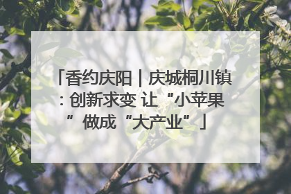 香约庆阳｜庆城桐川镇：创新求变 让“小苹果”做成“大产业”