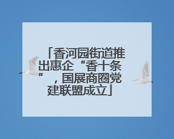 香河园街道推出惠企“香十条”，国展商圈党建联盟成立