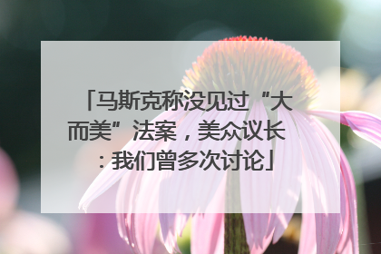 马斯克称没见过“大而美”法案，美众议长：我们曾多次讨论