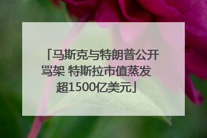 马斯克与特朗普公开骂架 特斯拉市值蒸发超1500亿美元