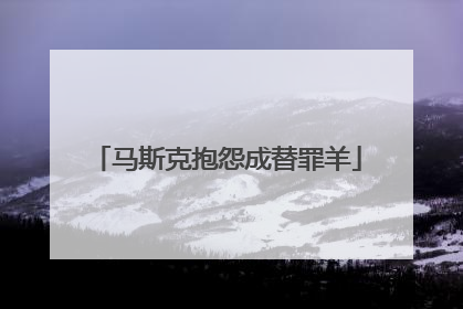 马斯克抱怨成替罪羊