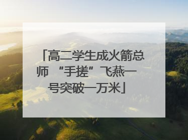 高二学生成火箭总师 “手搓”飞燕一号突破一万米