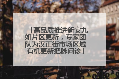 高品质推进新安九如片区更新，专家团队为汉正街市场区域有机更新把脉问诊