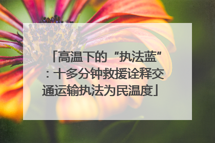 高温下的“执法蓝”：十多分钟救援诠释交通运输执法为民温度