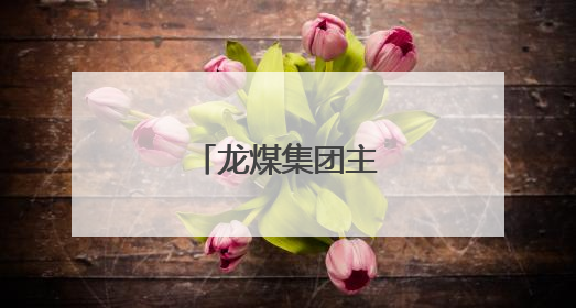龙煤集团主要领导调整
