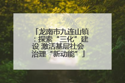 龙南市九连山镇：探索“三化”建设 激活基层社会治理“新动能”