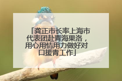 龚正市长率上海市代表团赴青海果洛，用心用情用力做好对口援青工作