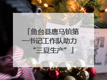 鱼台县唐马镇第一书记工作队助力“三夏生产”