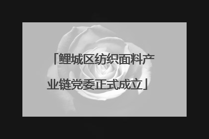 鲤城区纺织面料产业链党委正式成立
