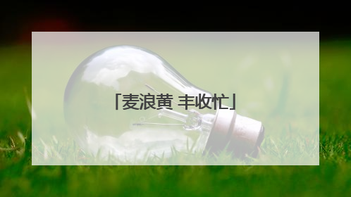 麦浪黄 丰收忙