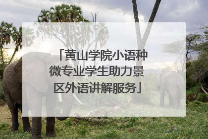 黄山学院小语种微专业学生助力景区外语讲解服务