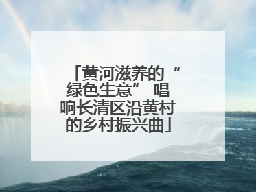 黄河滋养的“绿色生意” 唱响长清区沿黄村的乡村振兴曲