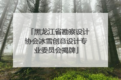 黑龙江省勘察设计协会冰雪创意设计专业委员会揭牌