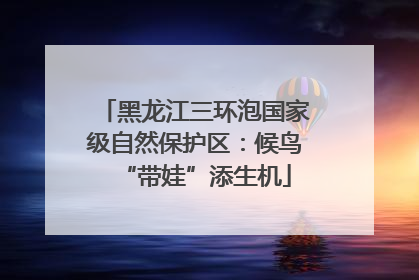 黑龙江三环泡国家级自然保护区：候鸟“带娃”添生机