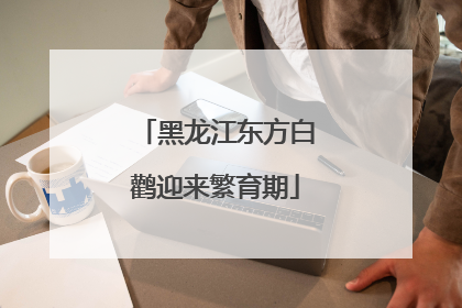 黑龙江东方白鹳迎来繁育期