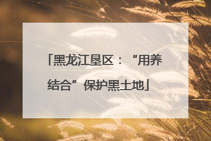 黑龙江垦区：“用养结合”保护黑土地