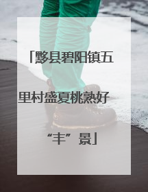 黟县碧阳镇五里村盛夏桃熟好“丰”景