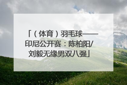 （体育）羽毛球——印尼公开赛：陈柏阳/刘毅无缘男双八强