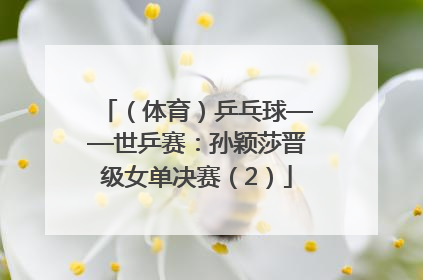 （体育）乒乓球——世乒赛：孙颖莎晋级女单决赛（2）