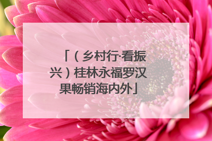 （乡村行·看振兴）桂林永福罗汉果畅销海内外