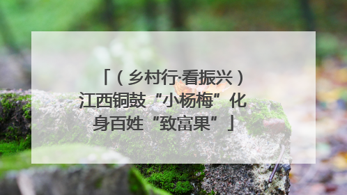 （乡村行·看振兴）江西铜鼓“小杨梅”化身百姓“致富果”