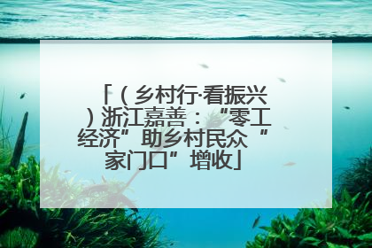 （乡村行·看振兴）浙江嘉善：“零工经济”助乡村民众“家门口”增收
