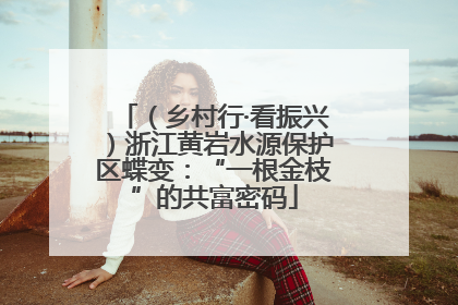 （乡村行·看振兴）浙江黄岩水源保护区蝶变：“一根金枝”的共富密码
