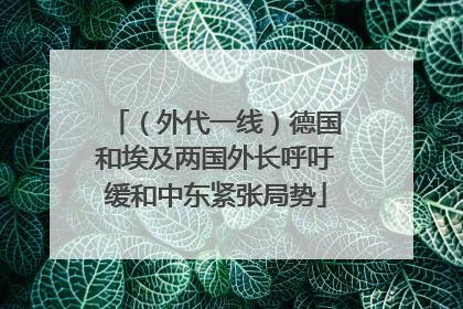 （外代一线）德国和埃及两国外长呼吁缓和中东紧张局势