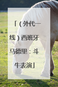 （外代一线）西班牙马德里：斗牛表演