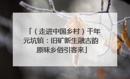（走进中国乡村）千年元坑镇：旧矿新生融古韵 原味乡俗引客来