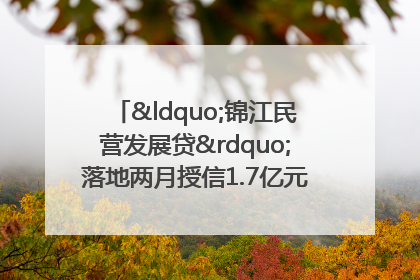 “锦江民营发展贷”落地两月授信1.7亿元，惠及118家民企