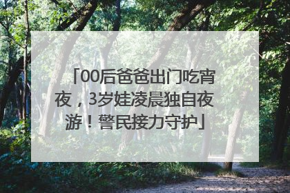 00后爸爸出门吃宵夜，3岁娃凌晨独自夜游！警民接力守护