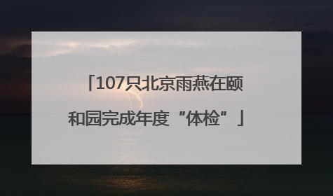 107只北京雨燕在颐和园完成年度“体检”