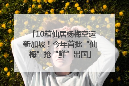 10箱仙居杨梅空运新加坡！今年首批“仙梅”抢“鲜”出国