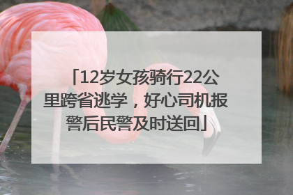 12岁女孩骑行22公里跨省逃学，好心司机报警后民警及时送回
