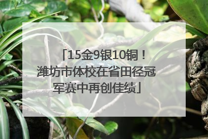 15金9银10铜！潍坊市体校在省田径冠军赛中再创佳绩