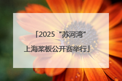 2025“苏河湾”上海桨板公开赛举行