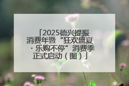 2025德兴提振消费年暨“狂欢盛夏・乐购不停”消费季正式启动（图）