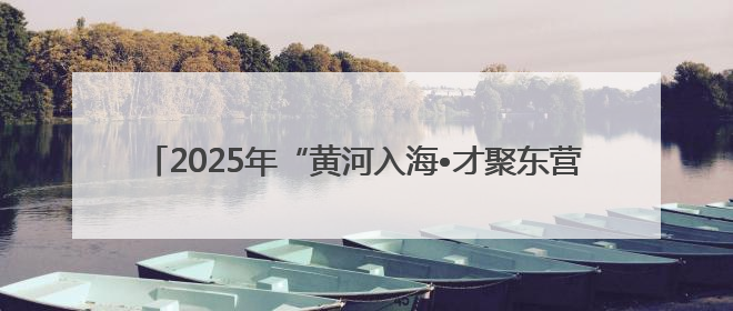 2025年“黄河入海•才聚东营”招才引智高校行活动成功举办
