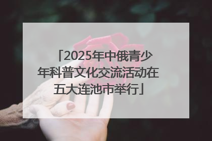 2025年中俄青少年科普文化交流活动在五大连池市举行