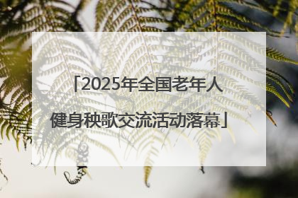 2025年全国老年人健身秧歌交流活动落幕