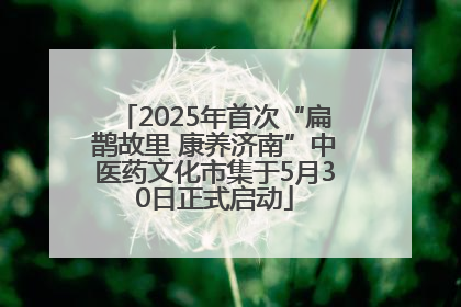 2025年首次“扁鹊故里 康养济南”中医药文化市集于5月30日正式启动
