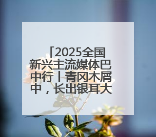 2025全国新兴主流媒体巴中行丨青冈木屑中，长出银耳大产业