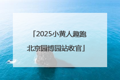 2025小黄人趣跑北京园博园站收官