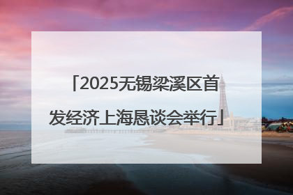 2025无锡梁溪区首发经济上海恳谈会举行