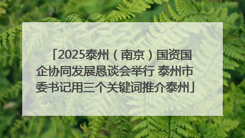 2025泰州（南京）国资国企协同发展恳谈会举行 泰州市委书记用三个关键词推介泰州