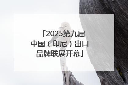 2025第九届中国（印尼）出口品牌联展开幕